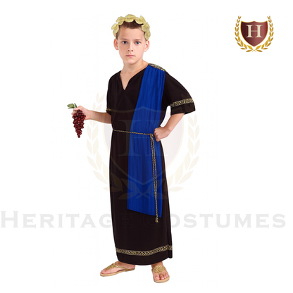 Children's Julius Caesar Costume, Roman Senator Costume, Roman Toga Costume