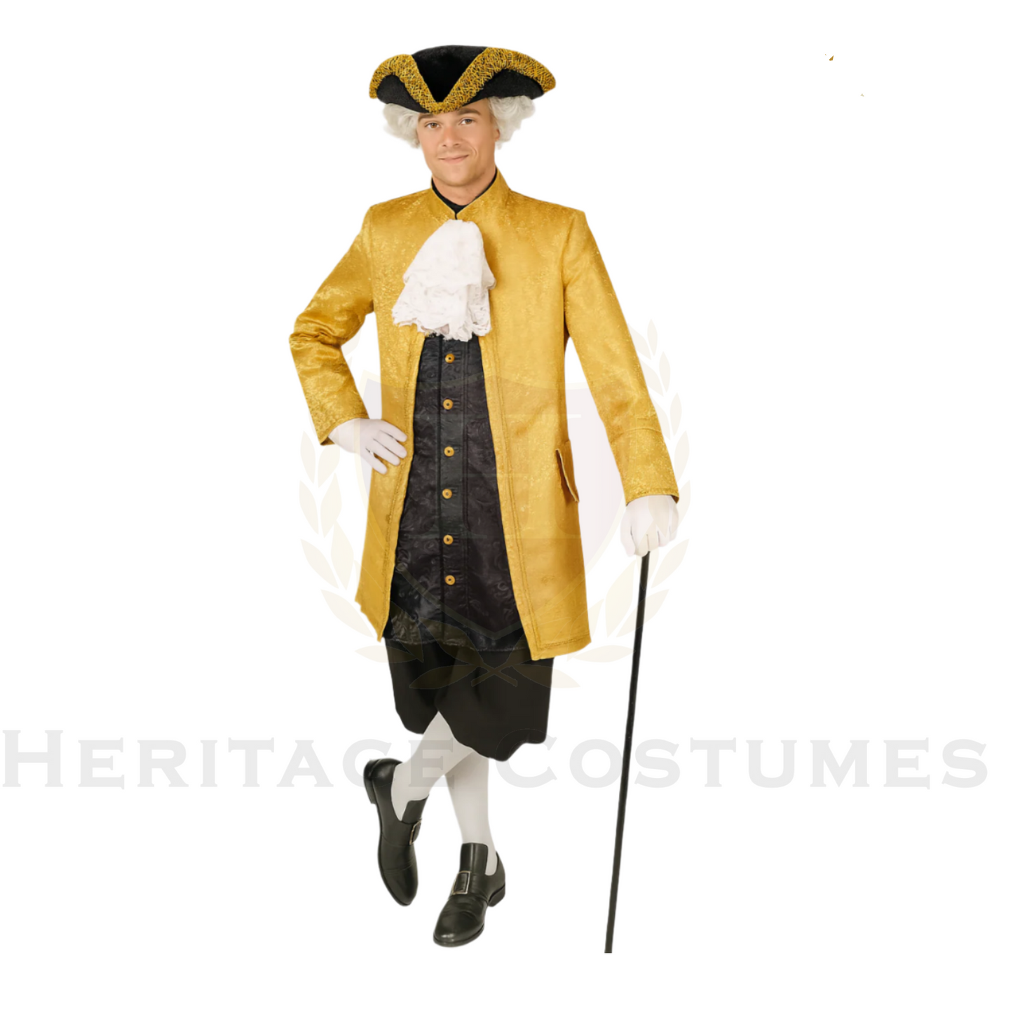 Men’s Baroque Rococo Brocade Frock Coat