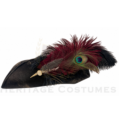Blackbeard Adult Pirate Captain Costume