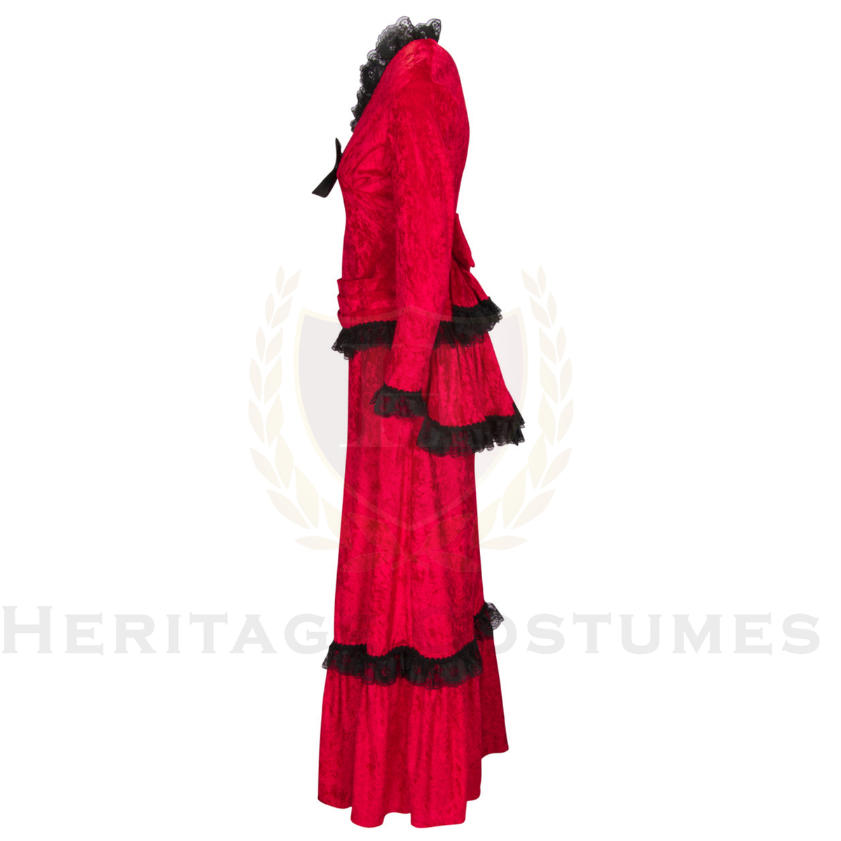 Victorian Era Women's Velvet Dress