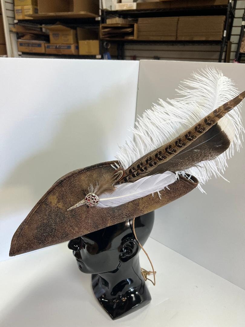 Pirate Hat Feather Accessory